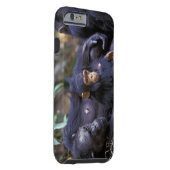 Africa, East Africa, Tanzania, Gombe NP Female Case-Mate iPhone Case (Back/Right)