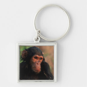 Africa, East Africa, Tanzania Key Ring