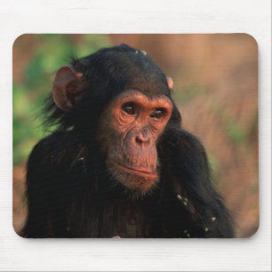 Africa, East Africa, Tanzania Mouse Mat