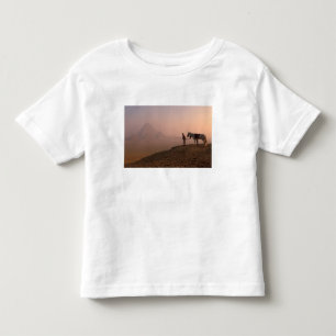Africa, Egypt, Cairo, Giza, Giza pyramids at Toddler T-Shirt