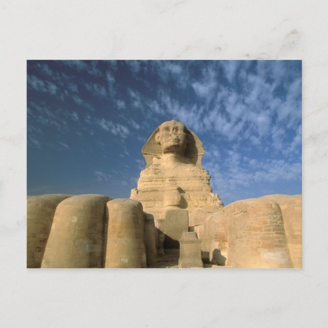 Africa, Egypt, Cairo, Giza Plateau. Sphinx Postcard (Front)