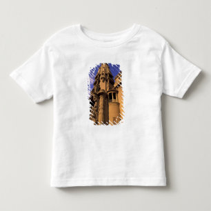 Africa, Egypt, Cairo, Heliopolis. Baron's Toddler T-Shirt