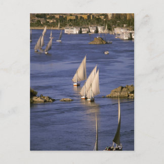 Africa, Egypt, Upper Egypt, Aswan. Feluccas Postcard