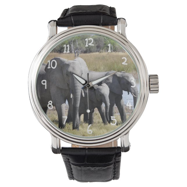 Africa Elephant Herds Watch (Front)
