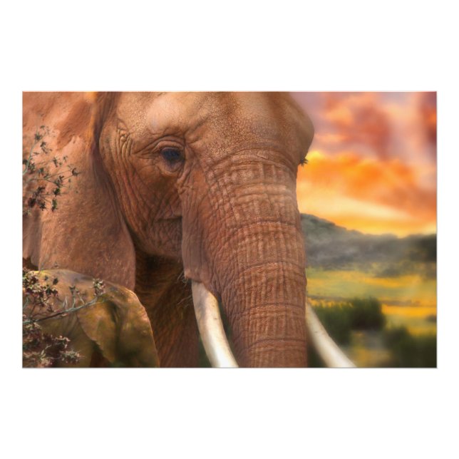 Africa Elephant I FEEL YOUR HEART Photo Print (Front)