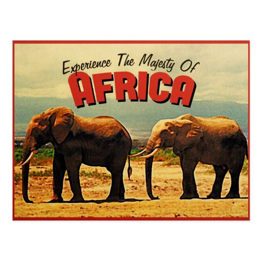 Image of Africa Elephants Vintage Travel Postcard