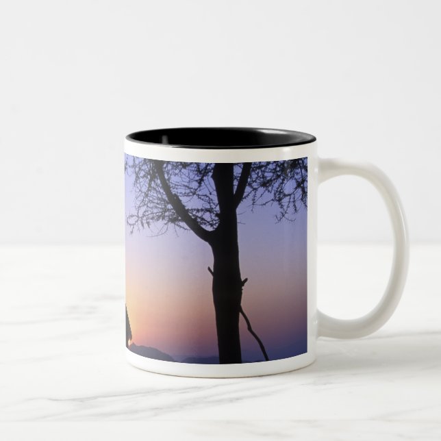 Africa, Ethiopia, Omo river region, Sunset over Two-Tone Coffee Mug (Right)