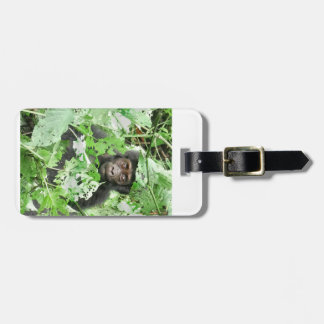 Africa - Gorilla Baby Luggage Tag