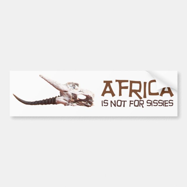 Africa is not for sissies: African Springbok skull Bumper Sticker (Front)