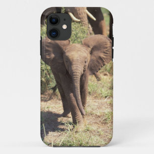 Africa, Kenya, Amboseli National Park. African 2 iPhone 11 Case