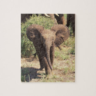 Africa, Kenya, Amboseli National Park. African 2 Jigsaw Puzzle