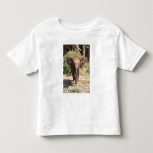 Africa, Kenya, Amboseli National Park. African 2 Toddler T-Shirt
