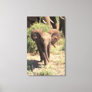 Africa, Kenya, Amboseli National Park. African 3 Canvas Print