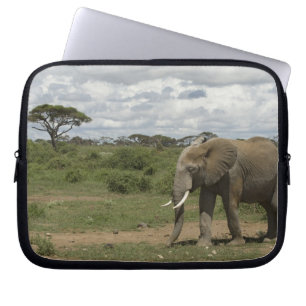 Africa, Kenya, Amboseli National Park, elephant, Laptop Sleeve