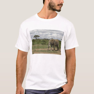 Africa, Kenya, Amboseli National Park, elephant, T-Shirt