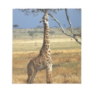 Africa, Kenya, Amboseli NP. A Common, or Masai, Notepad