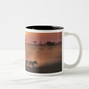 Africa, Kenya, Amboseli NP. Zebra walk to the Two-Tone Coffee Mug