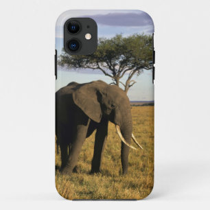 Africa, Kenya, Maasai Mara. An elehpant in the iPhone 11 Case