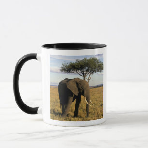 Africa, Kenya, Maasai Mara. An elehpant in the Mug