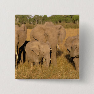 Africa, Kenya, Masai Mara. African Elephant 15 Cm Square Badge