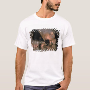 Africa, Kenya, Masai Mara. Common hippopotamuses T-Shirt
