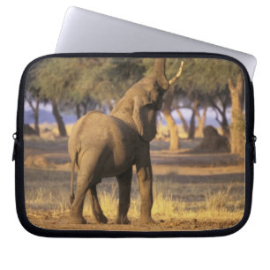 Africa, Kenya, Masai Mara. Elephant (Loxodonta Laptop Sleeve