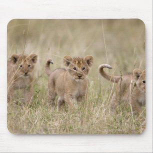 'Africa, Kenya, Masai Mara Game Reserve' Mouse Mat