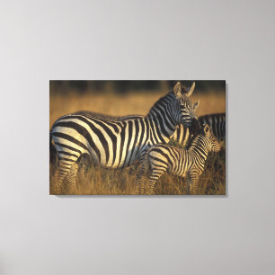Africa, Kenya, Masai Mara Game Reserve. Plains Canvas Print