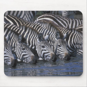 Africa, Kenya, Masai Mara Game Reserve, Plains Mouse Mat