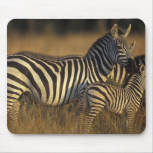 Africa, Kenya, Masai Mara Game Reserve. Plains Mouse Mat