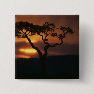 Africa, Kenya, Masai Mara Game Reserve, Setting 15 Cm Square Badge