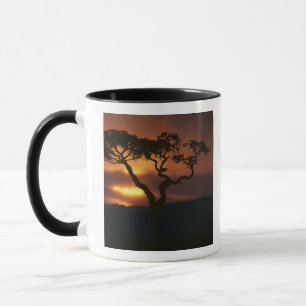 Africa, Kenya, Masai Mara Game Reserve, Setting Mug