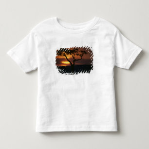 Africa, Kenya, Masai Mara Game Reserve, Setting Toddler T-Shirt