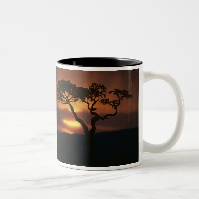 Africa, Kenya, Masai Mara Game Reserve, Setting Two-Tone Coffee Mug (Right)