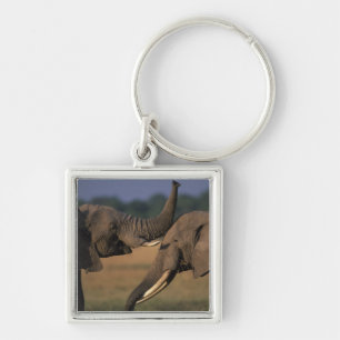 Africa, Kenya, Masai Mara Game Reserve, Two Bull Key Ring