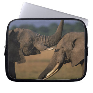 Africa, Kenya, Masai Mara Game Reserve, Two Bull Laptop Sleeve