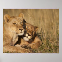 Africa, Kenya, Masai Mara Game Reserve, Young