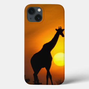 Africa, Kenya, Masai Mara. Giraffe (Giraffe iPhone 13 Case
