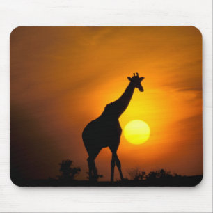 Africa, Kenya, Masai Mara. Giraffe (Giraffe Mouse Mat