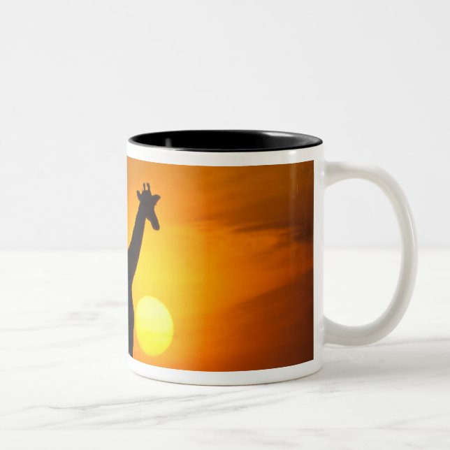 Africa, Kenya, Masai Mara. Giraffe (Giraffe Two-Tone Coffee Mug (Right)