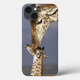 Africa, Kenya, Masai Mara. Giraffes (Giraffe iPhone 13 Case