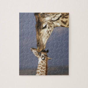 Africa, Kenya, Masai Mara. Giraffes (Giraffe Jigsaw Puzzle