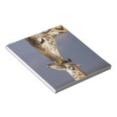 Africa, Kenya, Masai Mara. Giraffes (Giraffe Notepad (Angled)