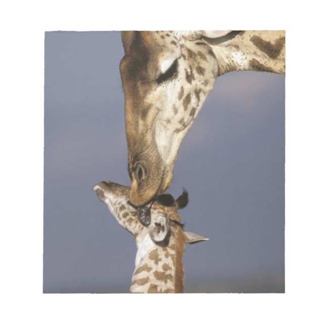 Africa, Kenya, Masai Mara. Giraffes (Giraffe Notepad (Front)