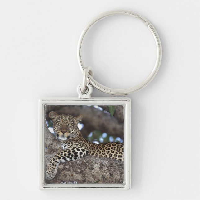 Africa. Kenya. Masai Mara. Leopard (Panthera Key Ring (Front)