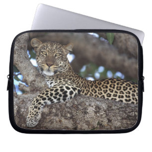 Africa. Kenya. Masai Mara. Leopard (Panthera Laptop Sleeve