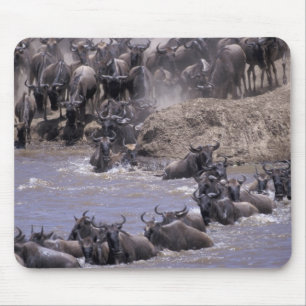 Africa, Kenya, Masai Mara National Park. Mouse Mat