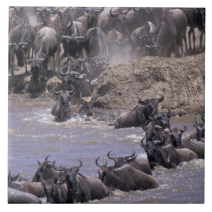 Africa, Kenya, Masai Mara National Park. Tile