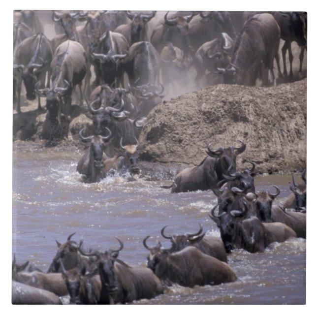 Africa, Kenya, Masai Mara National Park. Tile (Front)