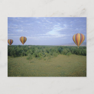 Africa, Kenya, Masai Mara National Preserve, 2 Postcard